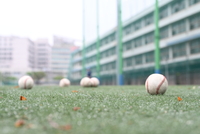 KBO, ‘2025 우수 유소년 선수 해외 아카데미 파견’ 운영사업자 선정 입찰 시행