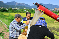 이병선 속초시장, 노학동 벼베기 현장 방문