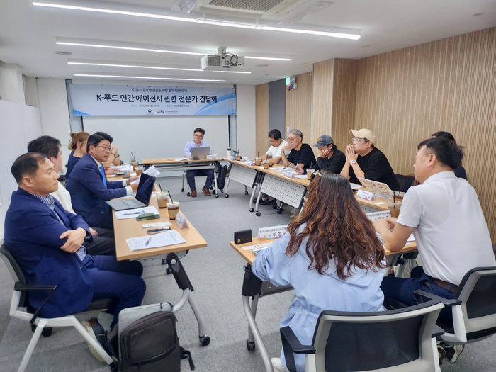 K-푸드 민간 에이전시 육성과 식품기업 지원방안 등을 논의하고 있다. 사진|식품진흥원