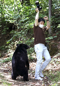 ‘한국기자협회와 나’ 사진 공모전, 김동수 경상일보 기자 ‘반달곰과 댄스를’ 최우수상 받아