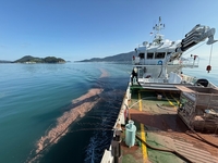 완도군, ‘적조 예비 특보’ 발령