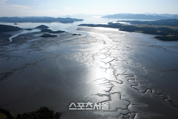 보성군, 보성벌교갯벌 ‘깃대종’ 선포식 개최