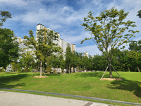 원주시, 지정면 현장민원실 이전 설치 및 확대 운영