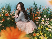 아이브 리즈, 로맨스를 품다