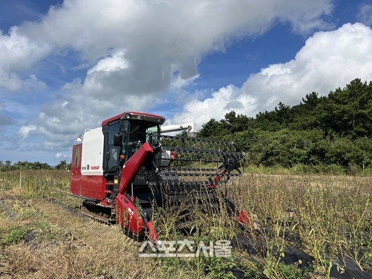 신안군,  ‘참깨도 콤바인’으로 수확...노동력 97%  절감