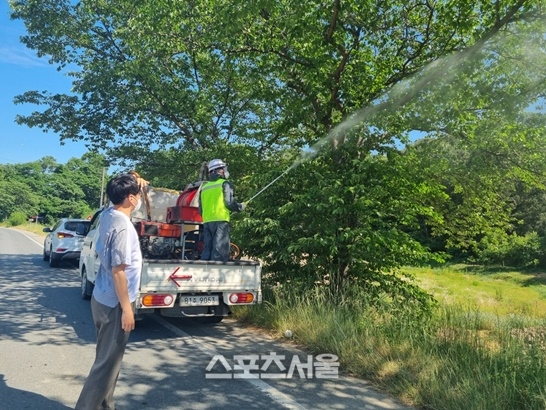 전남도, 갈색날개매미충 등 돌발해충 확산 방지 온힘