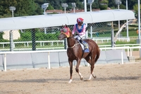 ‘축지법 쓰듯 대역전극’ 무제한급, 문화일보배 우승