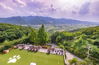 켄싱턴리조트 충주 펫 요가 운영