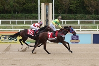 9월 한국경마 명장면 #끝날 때까지 알 수 없는 승부의 세계, 희비 가른 0.1초