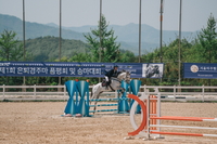 경주로 기억 넘어, 새로운 미래로! 2025년 은퇴경주마 승마대회 파이널 결승전 펼쳐진다
