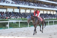 ‘폭발적 추입’ 보령라이트퀸, 제주도지사배서 역전 우승