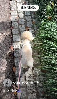 ‘착한 남편’ 가수 션, ‘아이 넷은 아내 혜영의 몸에서, 다섯 째 레오는...’