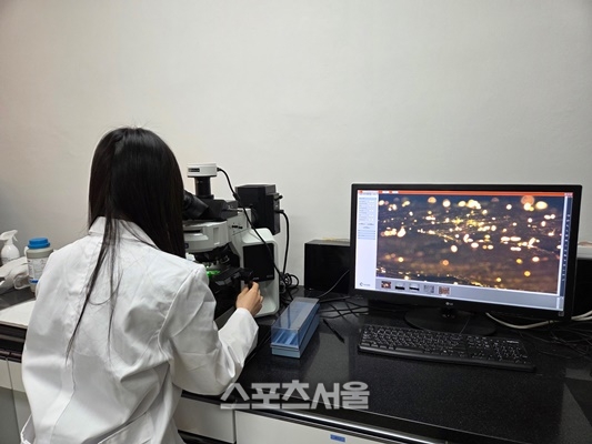 전남해양수산과학원, 김 양식 어업인 안정적 채묘·생산 지원