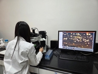 전남해양수산과학원, 김 양식 어업인 안정적 채묘·생산 지원