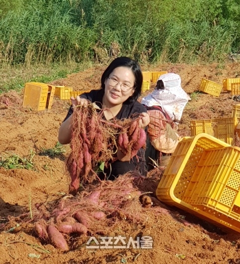 전남도, 무안 착한 고구마 10월의 친환경농산물에 선정