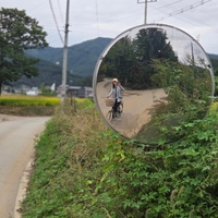 이영애, “행복하세요, 사랑합니다” 팬들에 추석 인사