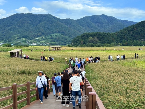 [포토뉴스] 가을빛 순천만, 추석 연휴 탐방객 ‘북적’