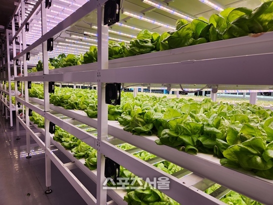 순천시, 도심형 스마트팜 ‘순천시티팜’ 복합문화공간으로 주목