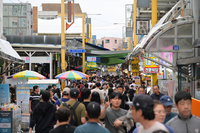 속초시, 추석연휴 주요 관광지 풍경