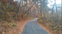 평창군, 장암산 숲길 7.5km 정비 완료