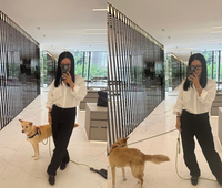 엄정화, 기본템만 입었을 뿐인데…클래스 다른 모나미 룩