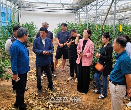장성군, 고품질 ‘장성 레몬’ 생산 박차