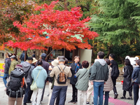 동해시, 신규 해설사 양성으로 관광객 만족도 높인다