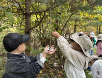 국립횡성숲체원, 세계 철새의 날 맞이 유아 대상 특별 프로그램 운영