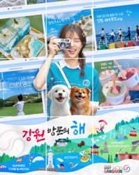 [강원자치도]수평적 소통 ‘강원잇다’, 관공서 온라인 홍보의 새 흐름 열다!