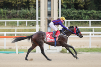 ‘내가 왕이 될 상인가’ 국산마 왕좌 가린다…제21회 대통령배 19일 개막