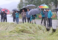 박상수 삼척시장 “피해 농가 조속한 안정에 행정적 지원을 아끼지 않겠다”