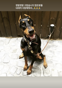 벨 보낸 배정남, 애틋한 인사 “고맙습니다 내 새끼 사랑해줘서”