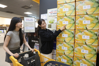 이마트, 절임배추 ‘오더픽’ 사전예약…물량 늘리고 가격 낮췄다