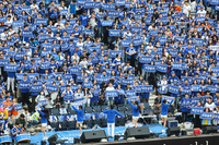 미쳤다! 가을야구 31G 연속 매진→올가을 누적 관중 22만명 ‘돌파’