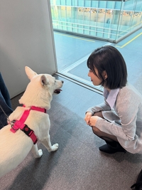 레드벨벳 조이, 꽃미남 진돗개 ‘풍이’와 설레는 만남!