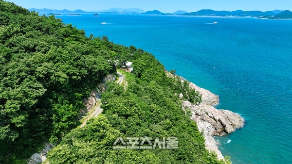 가을 힐링은 역시 완도 약산 해안 치유의 숲에서!