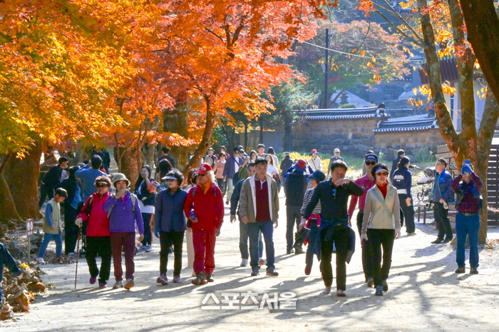 순창군 강천산군립공원, ‘가을 성수기 특별 운영’... 탐방객에 쾌적하고 안전한 환경 제공