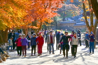 순창군 강천산군립공원, ‘가을 성수기 특별 운영’... 탐방객에 쾌적하고 안전한 환경 제공
