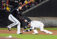 [포토]LG 손주영에 태그아웃되는 한화 하주석