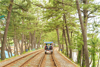 국내 유일 삼척해양레일바이크, 누적 관광객 528만 명 돌파