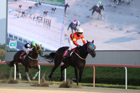 제18회 국제신문배 우승 문학보이, 차세대 기둥 입증