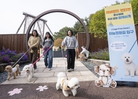 에버랜드, 단풍 속 반려견과 특별한 추억 ‘가을을 함께하개’ 진행