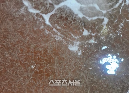 전남도해양수산과학원, 보리새우 종자 200만마리 방류