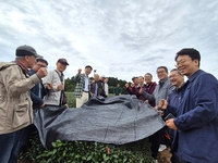 보성군,  ‘K-TEA 보성말차’ 일본 벤치마킹 연수