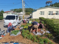 고흥군, 점암면 신전마을  3년 연속 ‘우수 으뜸마을’ 영예!