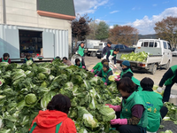 횡성군 2025년 둔내면 새마을부녀회 ‘사랑의 김장나눔’ 행사