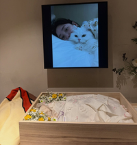 최희, 10년 동행한 반려묘 떠나보내...“미안하고 사랑해”