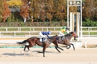 비에스스톰, 제14회 서울경제신문배서 반마신차 역전 우승