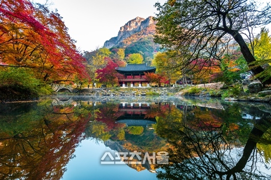 만추의 계절, 전남서 단풍길 걸으며 힐링하세요