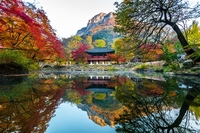 만추의 계절, 전남서 단풍길 걸으며 힐링하세요